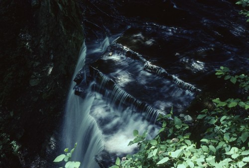 A serene waterfall cascades over rocks, surrounded by lush greenery and dappled sunlight.