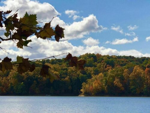 A serene lake surrounded by colorful autumn trees under a blue sky with fluffy clouds.