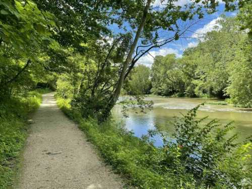 A serene path alongside a river, surrounded by lush greenery and trees under a bright blue sky.