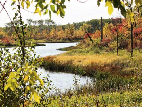 A serene landscape featuring a winding river surrounded by vibrant autumn foliage and lush greenery.