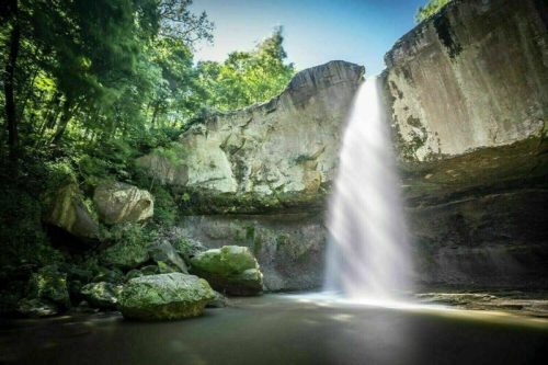 A serene waterfall cascades over a rocky cliff into a calm pool, surrounded by lush greenery.