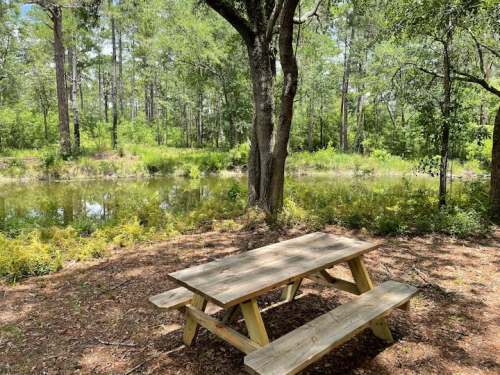 A wooden picnic table by a serene pond, surrounded by lush greenery and tall trees.