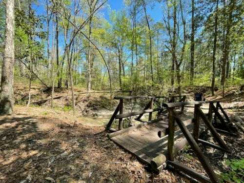 A wooden bridge over a small creek, surrounded by lush green trees and a clear blue sky.