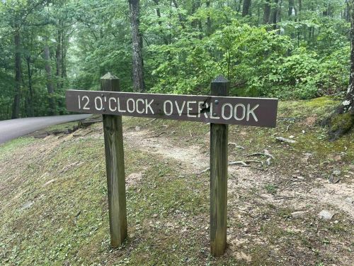 A wooden sign reading "12 O'Clock Overlook" stands in a lush, green forested area.