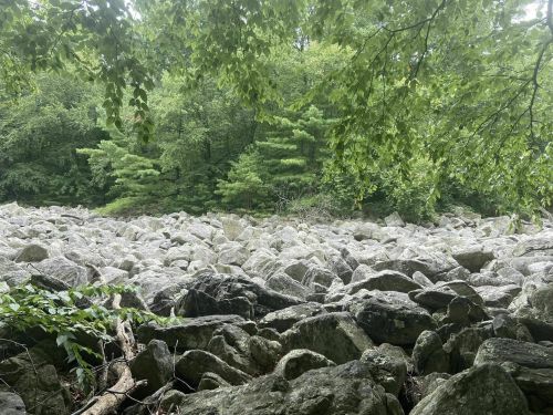 A rocky landscape surrounded by lush green trees and foliage under a cloudy sky.