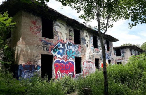 Abandoned building covered in colorful graffiti, surrounded by overgrown vegetation and trees under a cloudy sky.