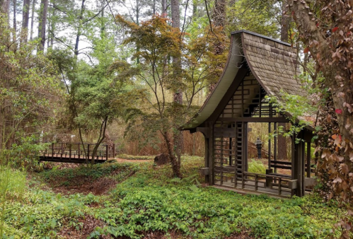 A serene forest scene featuring a traditional-style wooden building surrounded by lush greenery and trees.