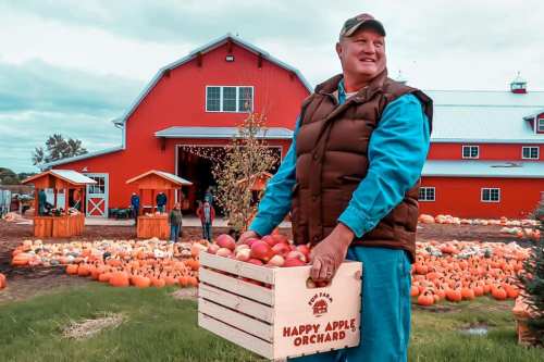 A man in a brown vest holds a crate of apples in front of a red barn surrounded by pumpkins at an orchard.