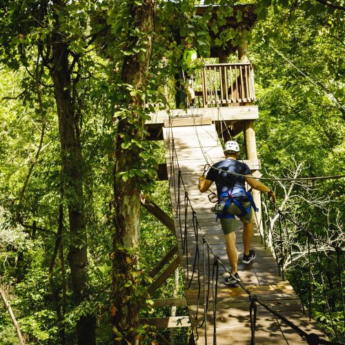 A person in a helmet walks across a rope bridge in a lush green forest, approaching a treehouse platform.