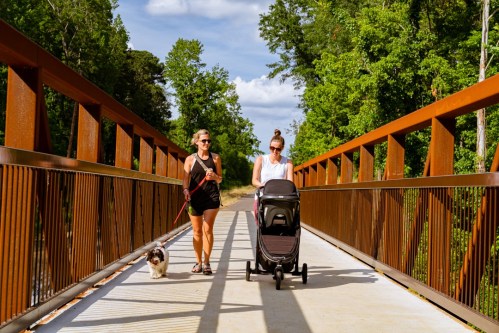 Two women walk on a bridge, one with a stroller and the other with a dog, surrounded by trees and blue skies.
