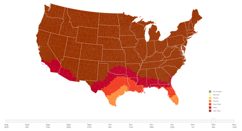 Map of the U.S. showing varying levels of heat risk from late August to mid-November, with color gradients indicating intensity.