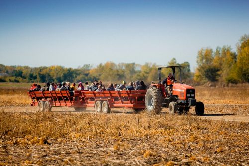 A tractor pulls a trailer filled with people through a field on a sunny day, surrounded by autumn foliage.
