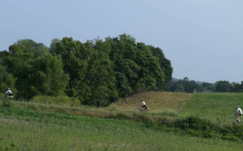 Two cyclists ride along a grassy path with trees and fields in the background under a clear sky.