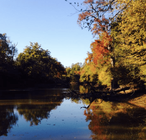 A serene river scene with colorful autumn trees reflecting in the water under a clear blue sky.