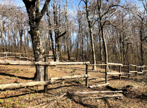 A wooded area with bare trees and wooden fences, under a clear blue sky.