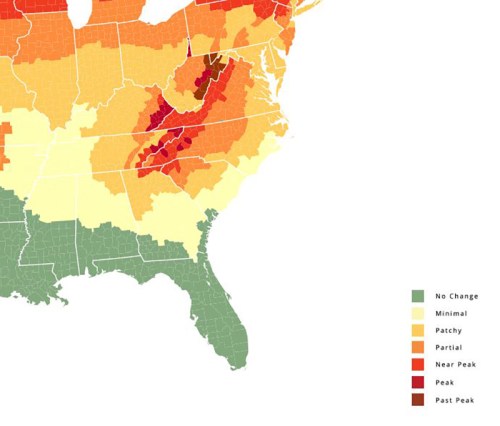 Map showing varying levels of seasonal color change across the southeastern U.S., with color-coded categories from no change to past peak.