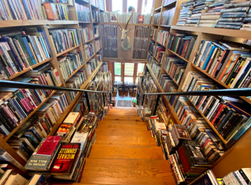 A cozy bookstore with shelves filled with books, viewed from a staircase leading down into the space.