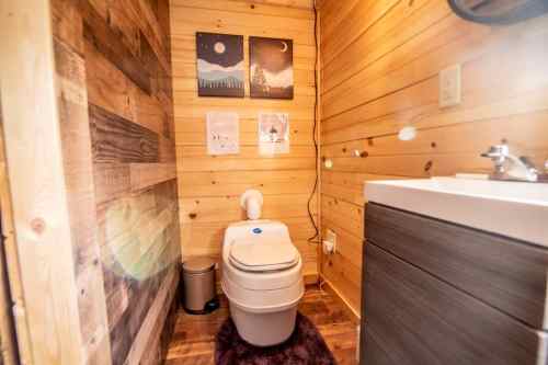 Cozy bathroom with wooden walls, a toilet, sink, and framed art on the wall.