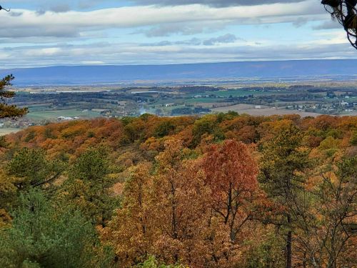 A scenic view of rolling hills and valleys, adorned with vibrant autumn foliage under a cloudy sky.