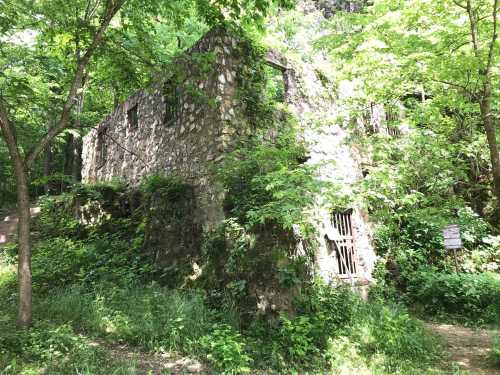 Abandoned stone building surrounded by lush greenery and trees in a forested area.