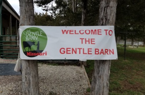 A banner reading "Welcome to The Gentle Barn Missouri" hangs between two trees at the entrance of the barn.