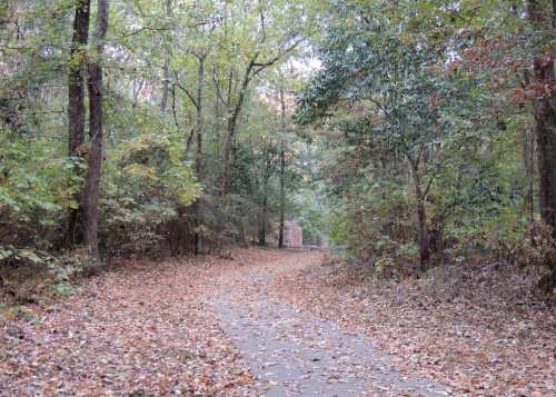 A winding path through a forest with trees and fallen leaves, creating a serene autumn atmosphere.