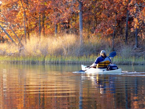 A person in a kayak paddles on a calm lake surrounded by autumn trees with vibrant orange leaves.