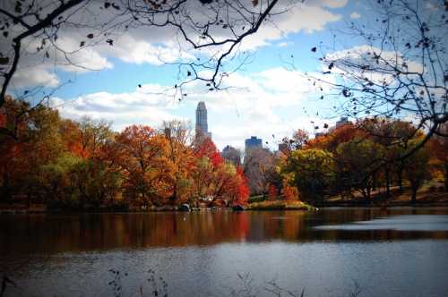 A serene lake surrounded by vibrant autumn trees, with city skyscrapers in the background under a blue sky.