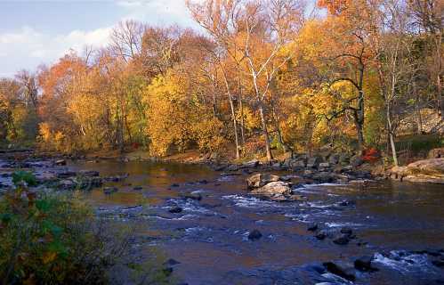 A serene river flows through a landscape of vibrant autumn trees, with rocks scattered along the water's edge.