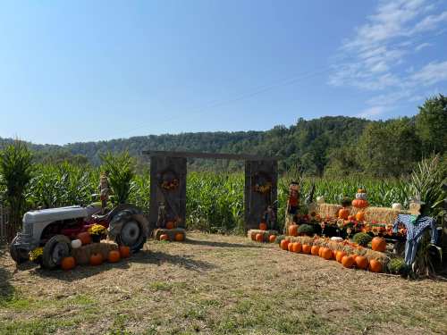 A rustic fall scene featuring a tractor, pumpkins, hay bales, and cornfields under a clear blue sky.