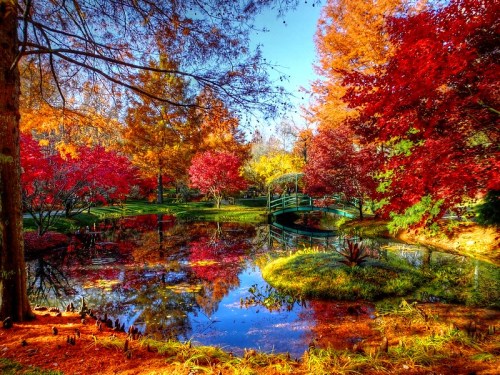 A serene pond surrounded by vibrant autumn foliage and a small green bridge, reflecting colorful trees in the water.