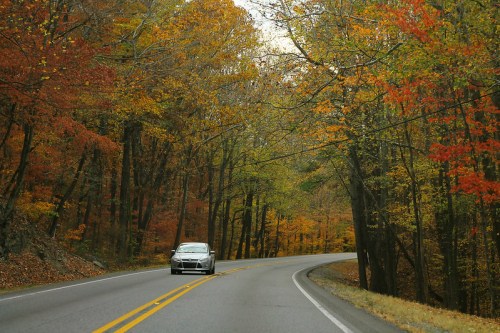 A car drives along a winding road surrounded by vibrant autumn foliage in a forested area.