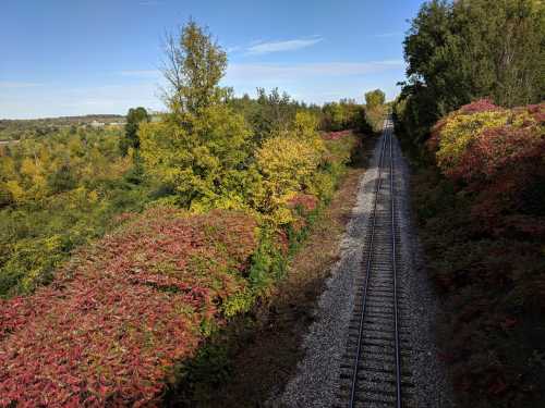 A scenic view of a railway track surrounded by vibrant autumn foliage and clear blue skies.