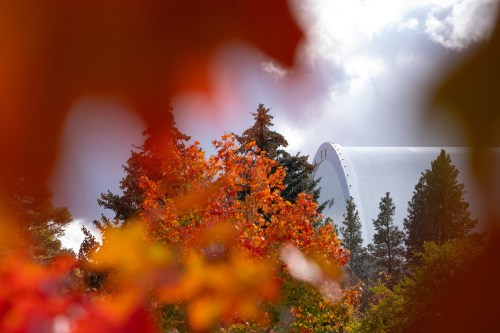 A view of a white building partially obscured by vibrant autumn foliage and trees under a cloudy sky.