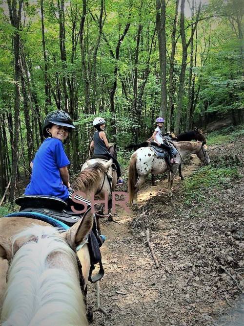 A group of children riding horses on a wooded trail, smiling and enjoying their outdoor adventure.