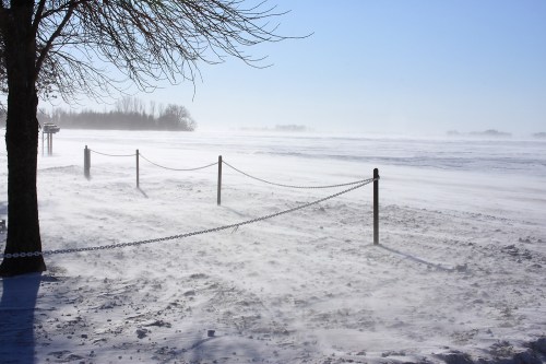 A snowy landscape with a chain-link fence, trees, and a clear blue sky, showcasing a cold, windy winter scene.