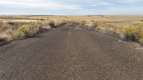 A deserted, cracked road stretches through a dry, grassy landscape under a clear blue sky.