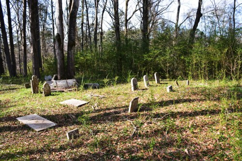 A serene, overgrown cemetery with weathered gravestones surrounded by trees and greenery.