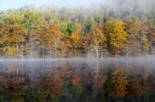 A serene lake reflects colorful autumn trees, shrouded in morning mist, creating a tranquil landscape.