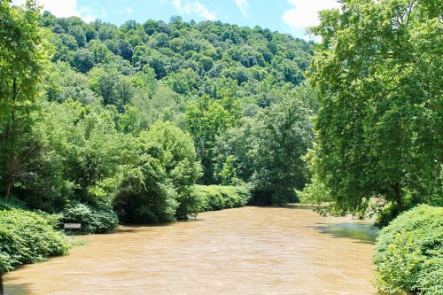 A muddy river flows through lush green trees under a bright blue sky with fluffy clouds.
