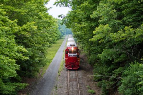 A red train travels along a track surrounded by lush green trees and grass.