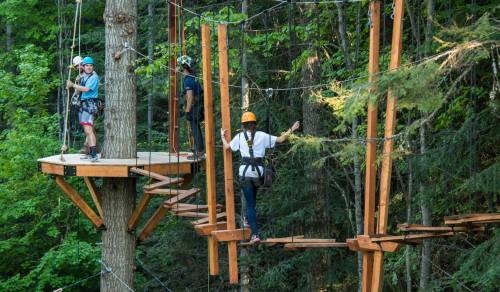 Two people on a platform in a tree, while another navigates a rope course in a forested area.