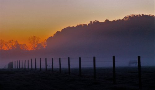 A misty landscape at dawn, featuring a fence line and silhouettes of trees against a colorful sky.