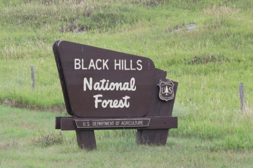 Sign for Black Hills National Forest, featuring the U.S. Department of Agriculture emblem, surrounded by green grass.