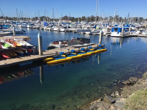 Colorful kayaks lined up at a marina, surrounded by sailboats and clear blue water under a sunny sky.