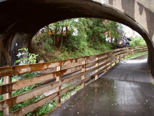 A train passes under a curved bridge, with a wooden fence along a wet pathway surrounded by greenery.
