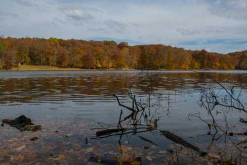 A serene lake surrounded by autumn foliage, with rippling water and fallen leaves on the shore.