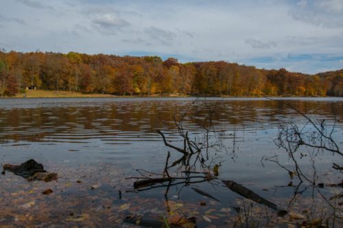 A serene lake surrounded by autumn foliage, with rippling water and fallen leaves on the shore.