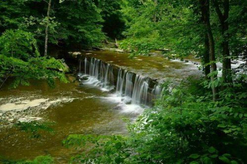 A serene waterfall cascades over rocks into a calm river, surrounded by lush green trees and foliage.