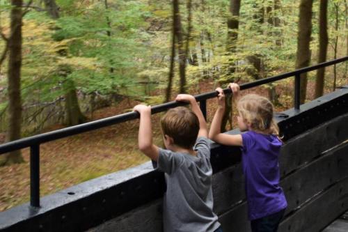Two children lean on a railing, looking out at a colorful forest scene in autumn.